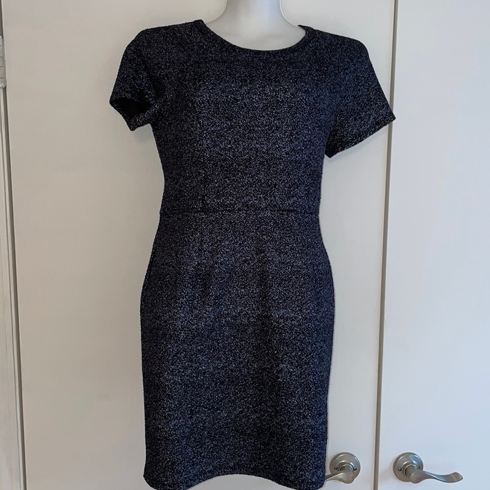 NWOT Silver and Black Minidress